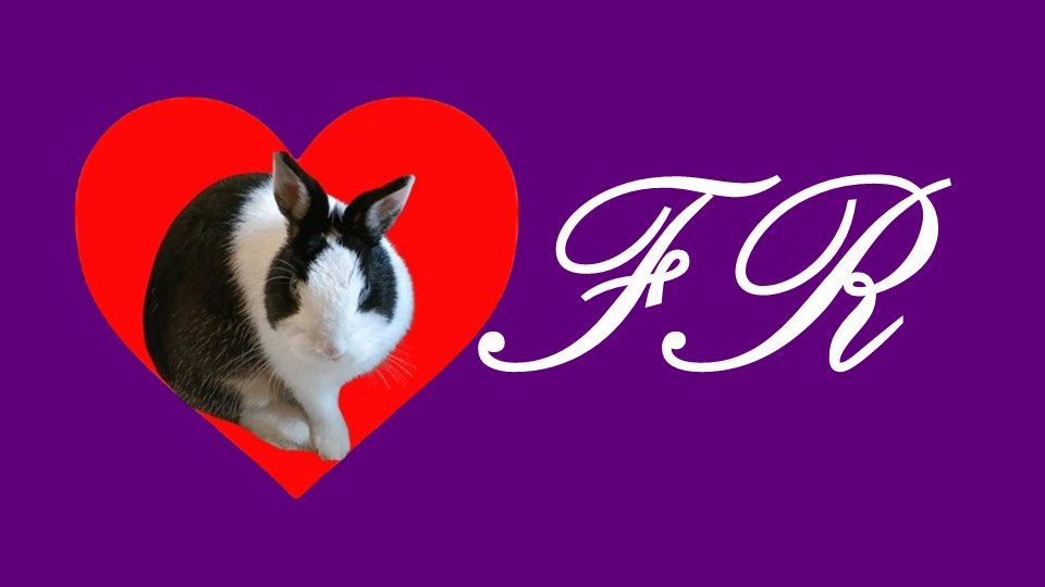 💢FR菲兔國際💢